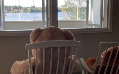 Tapa katsastaa maailmaa